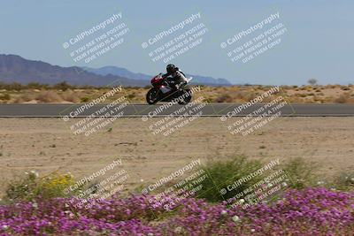 media/Mar-12-2023-SoCal Trackdays (Sun) [[d4c8249724]]/Turn 15 Inside Bloom (130pm)/